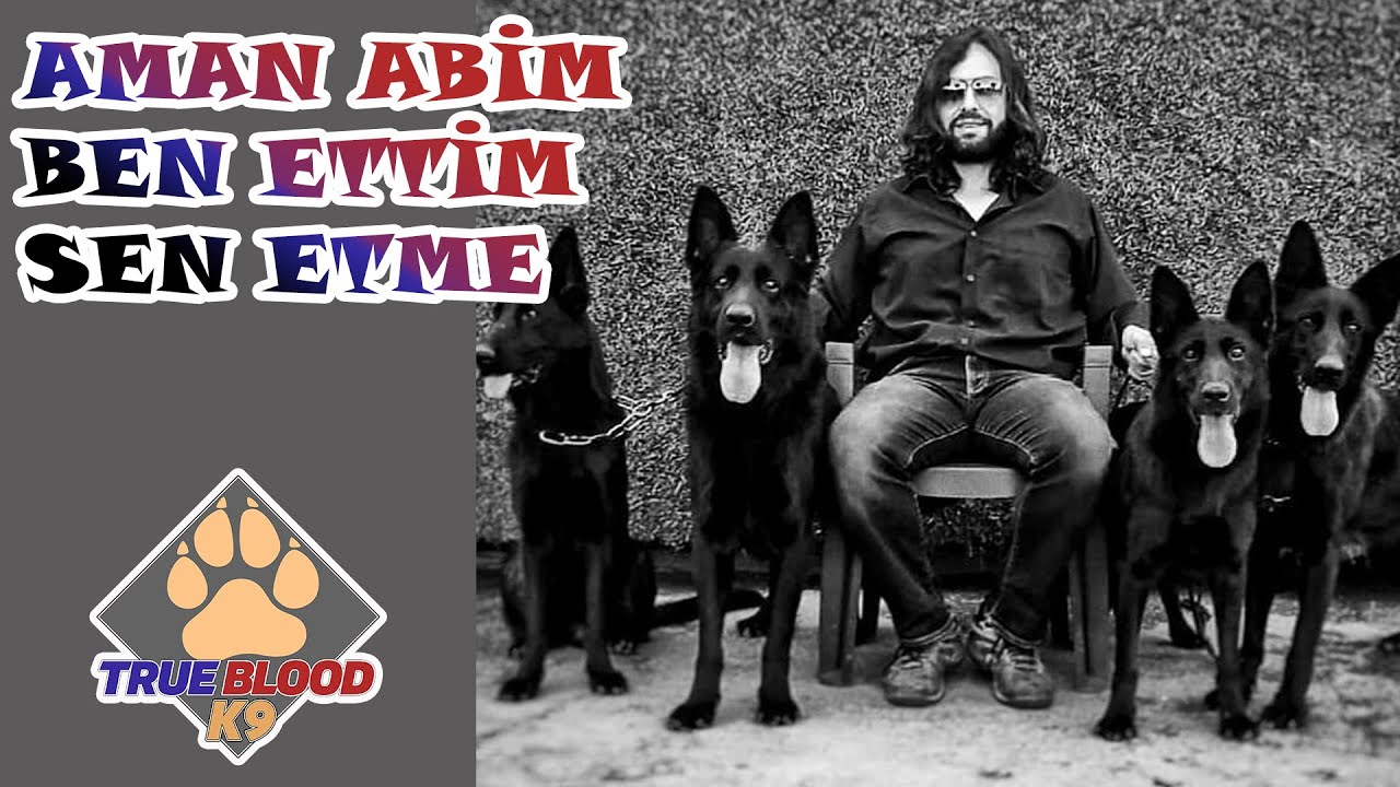 BU KÖPEKLERDEN KAÇIŞ YOK - KÖPEK ISIRMASIN DA NE YAPSIN