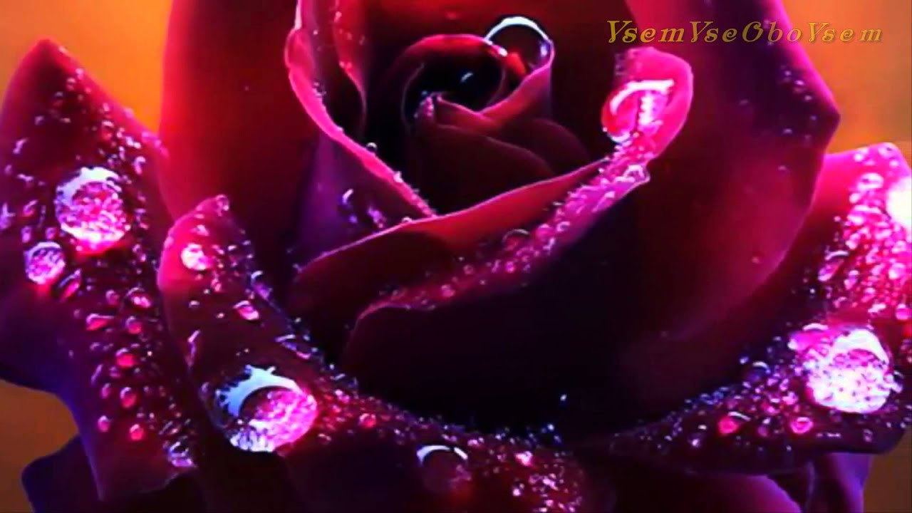 Вальс Цветов для милых женщин! VsemVseOboVsem