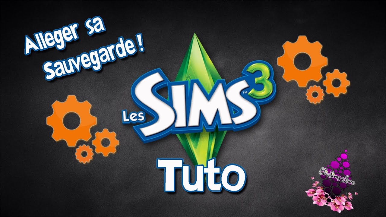TUTO SIMS  3 ( Comment All&eacute;ger Sa Sauvegarde  CODE ERREURS ! ) 🔧⚙️
