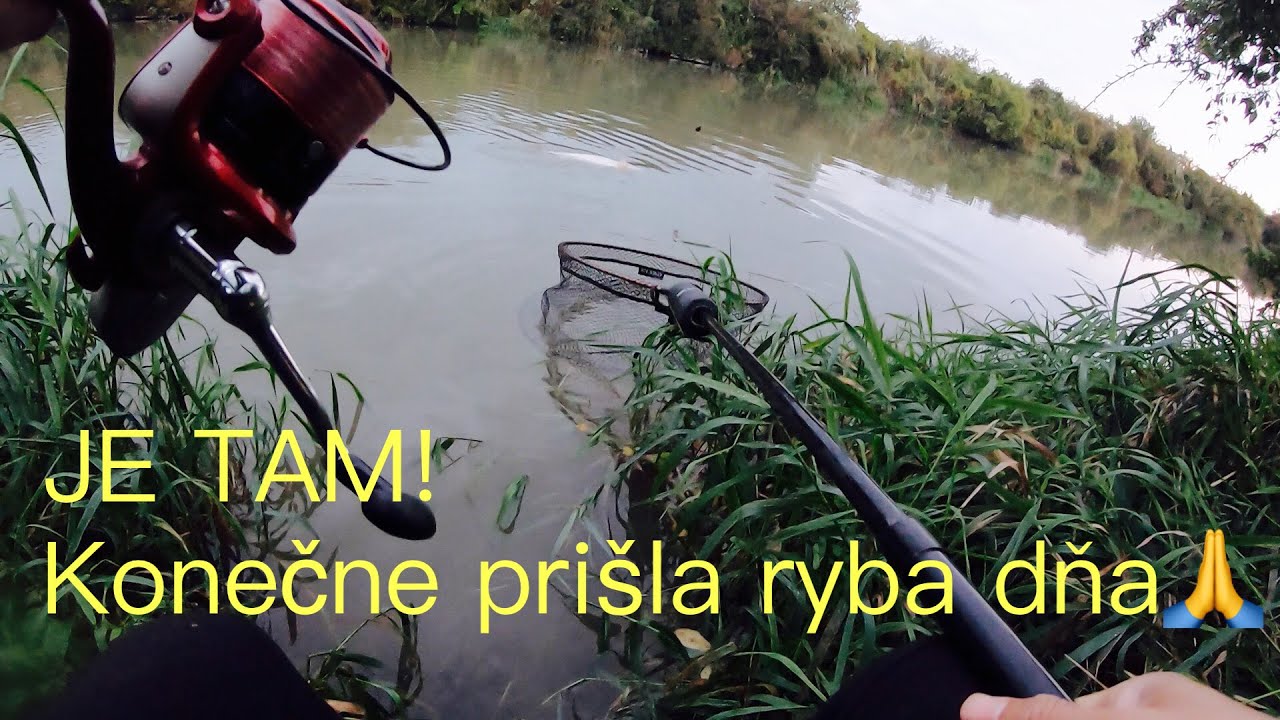 Lov rýb na rieke.Akú montáž používať na rieke.Poďakovanie za 3K odberateľov.