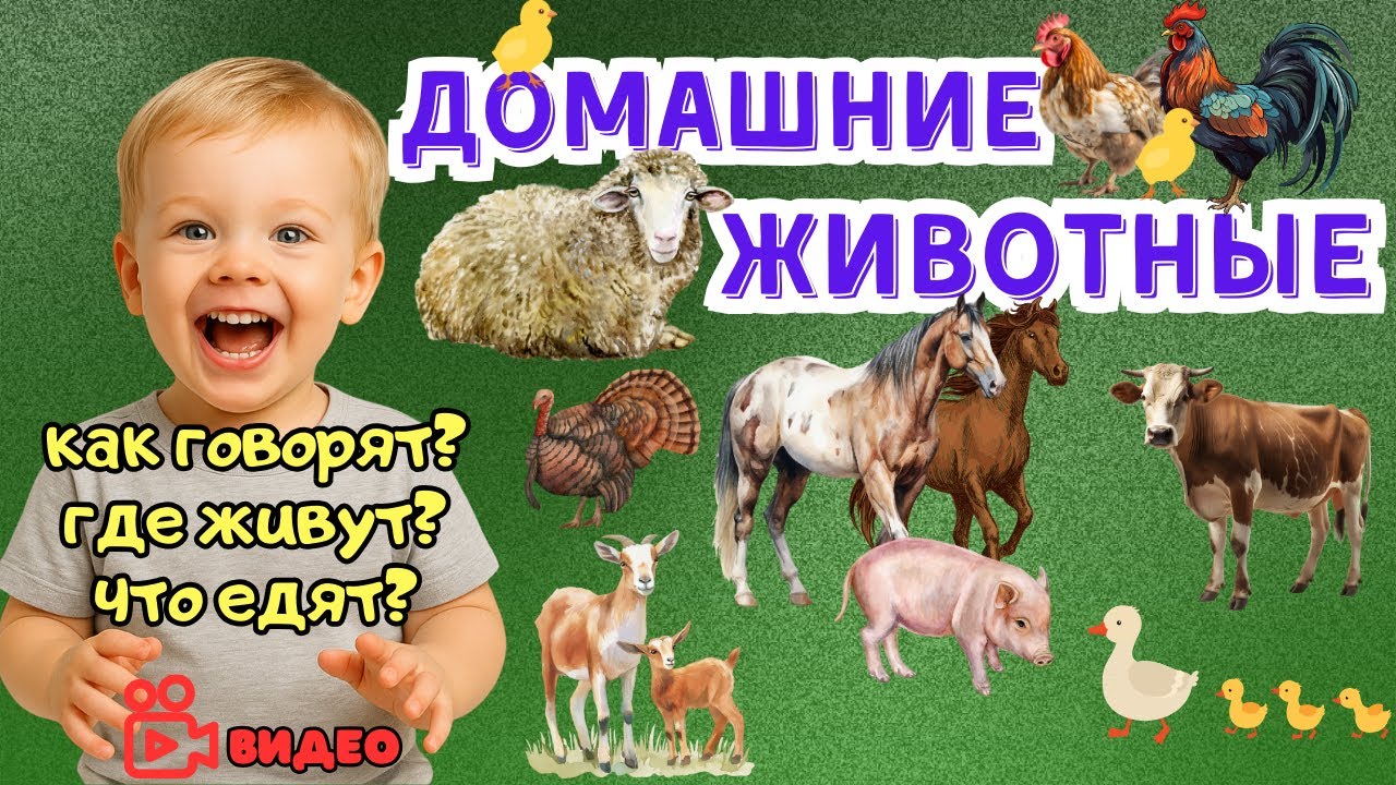 Домашние ЖИВОТНЫЕ и их ДЕТЁНЫШИ  | Учим Про жизнь животных. Развивающее видео для детей.