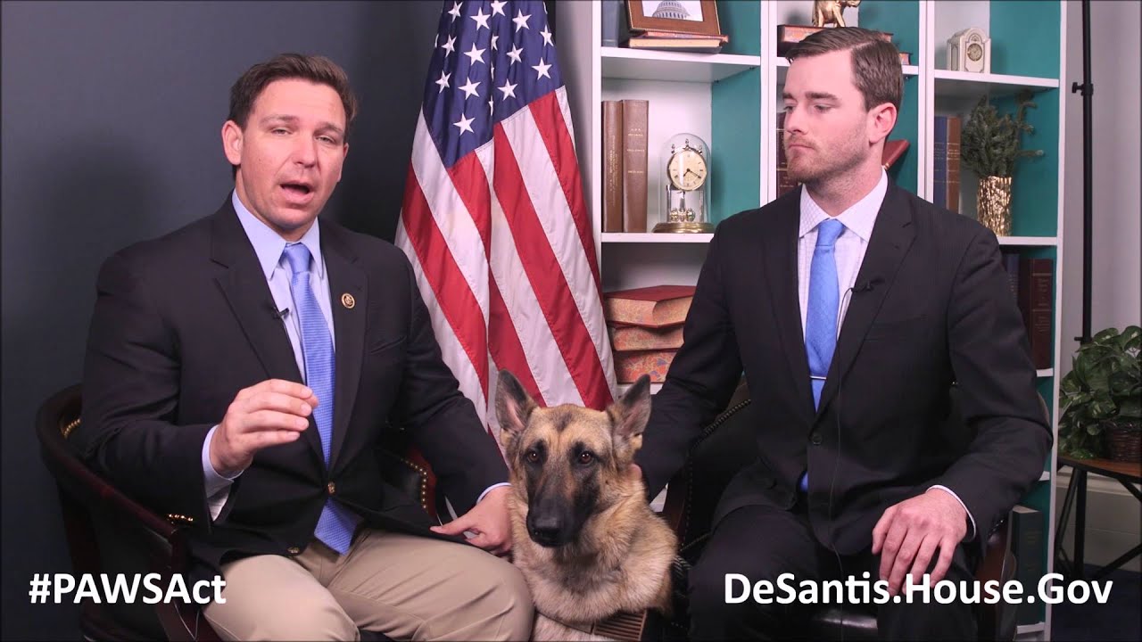 Puppies Assisting Wounded Servicemembers (PAWS) Act