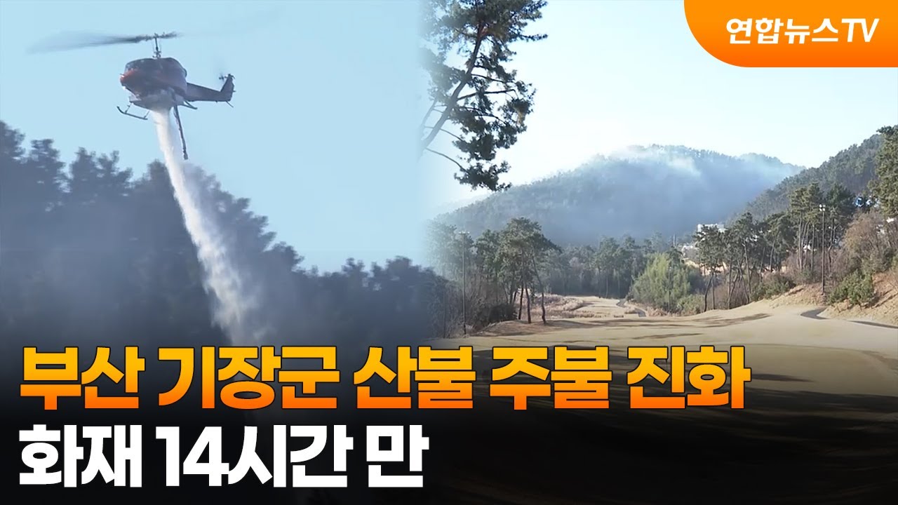 부산 기장군 산불 주불 진화&hellip;화재 14시간 만 / 연합뉴스TV (YonhapnewsTV)