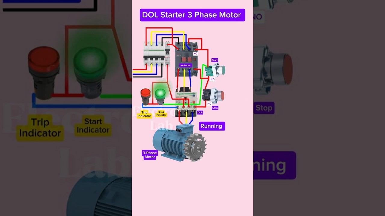 DOL Starter Of 3 Phase Motor | Using Contactor+Overload Relay+Indicator #shorts #tech #motor