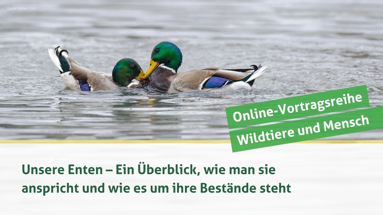 DJV-Online-Vortragsreihe 