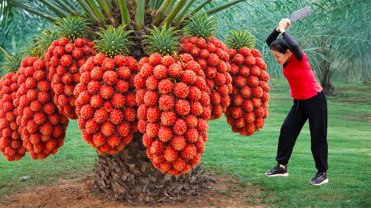 Harvesting Wild Pineapples in the Forest– Sold Out Fast at the Rural Market | Simple Rural Girl Life