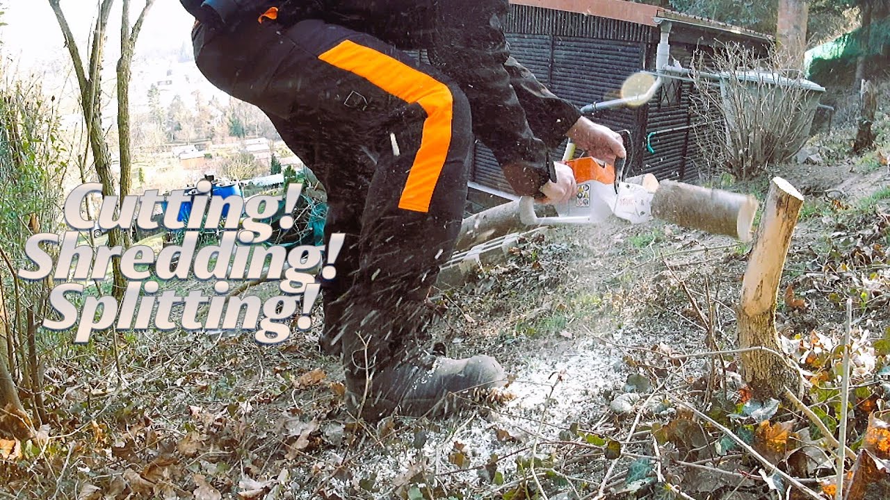 Pruning wild Trees and Shrubs