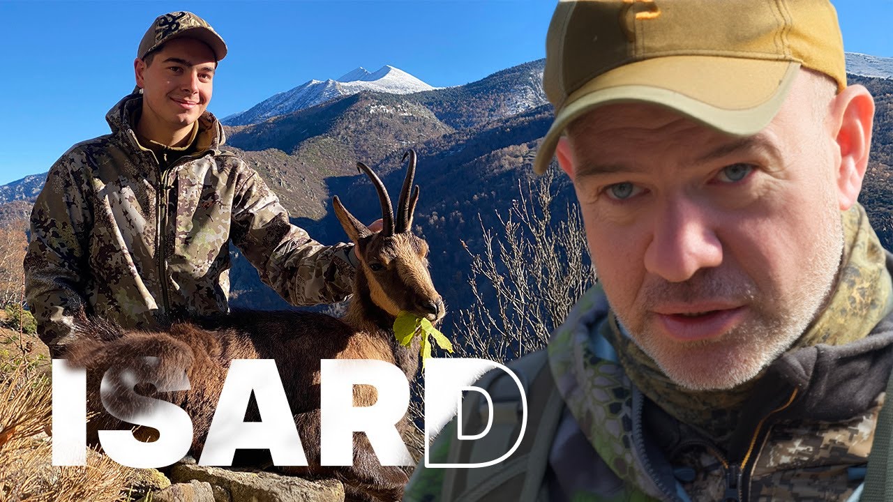PREMIER GIBIER EN MONTAGNE ?? Émotion garantie !