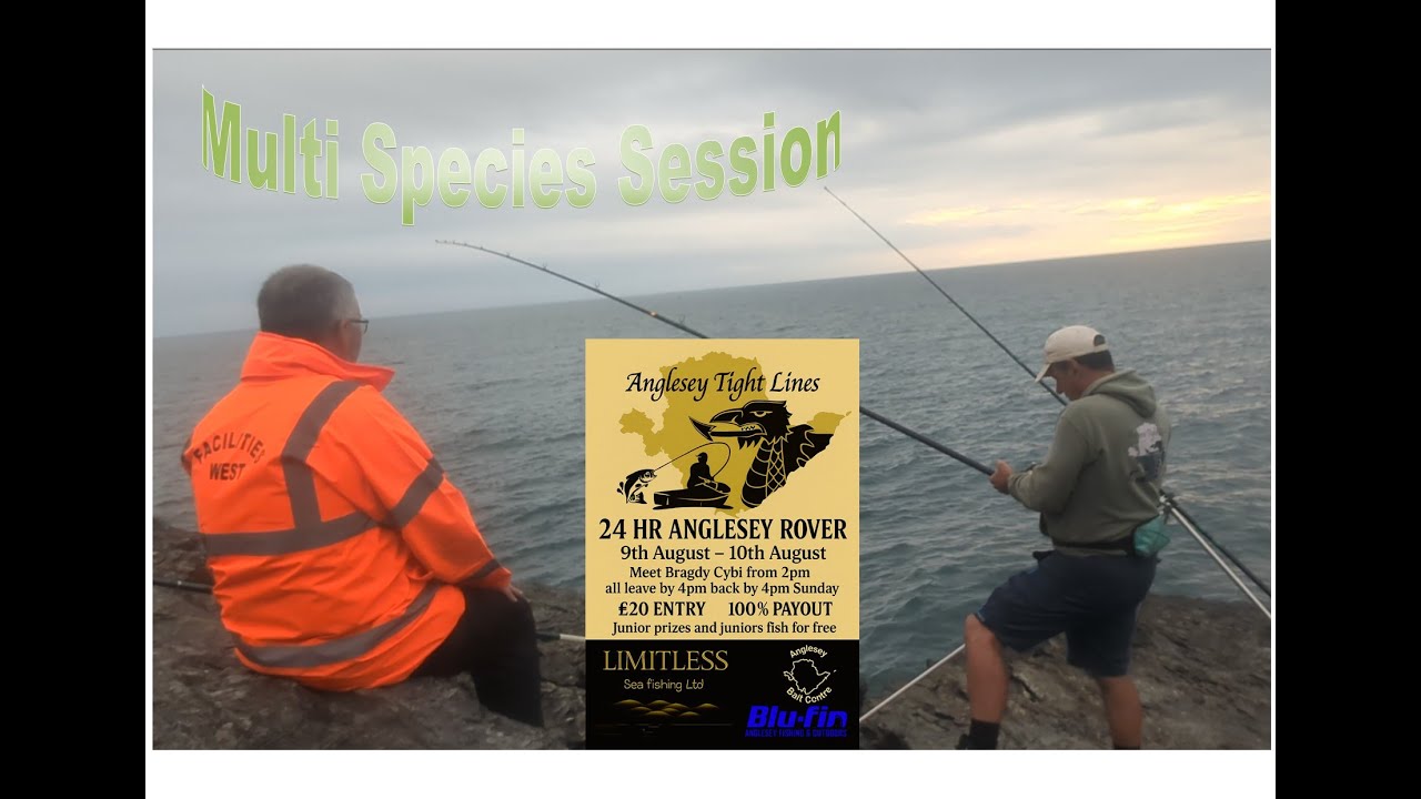 Multi Species Session on the Rocks - Anglesey Rock Fishing