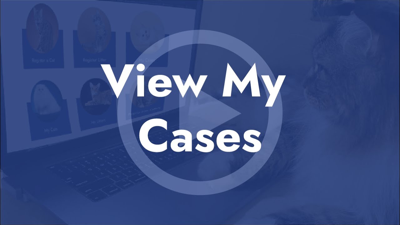 View My Cases in TICA Feline Management System