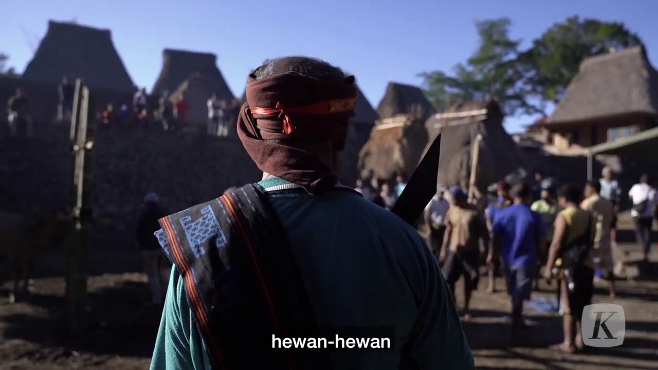 Bena, Kampung Purba di Timur Nusa Tenggara - Ekspedisi Wallacea