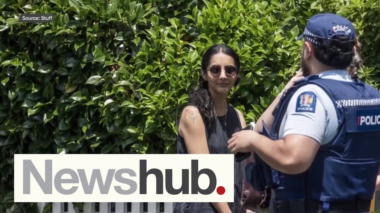 Former Green MP Golriz Ghahraman charged following shoplifting allegations | Newshub