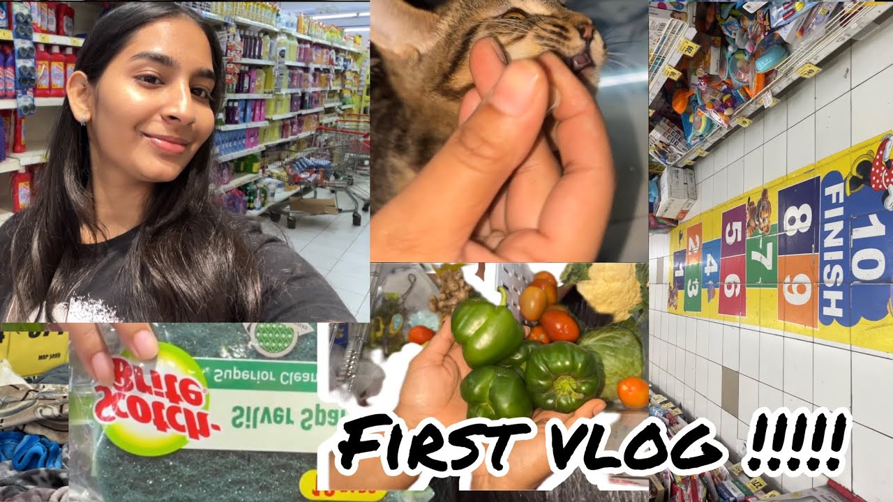 First vlog | Grocery shopping 🛒 🛍️ | #viral #vlog #shopping #family #vaishusdiary 