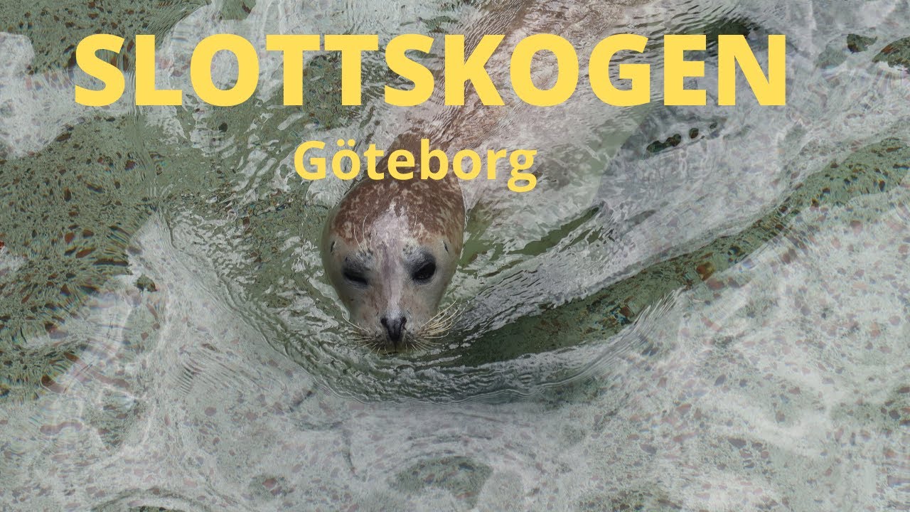 Slottskogen Göteborg