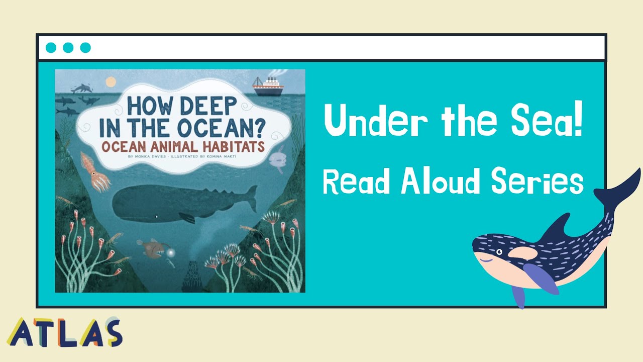 Marine Biology for Kids!- 