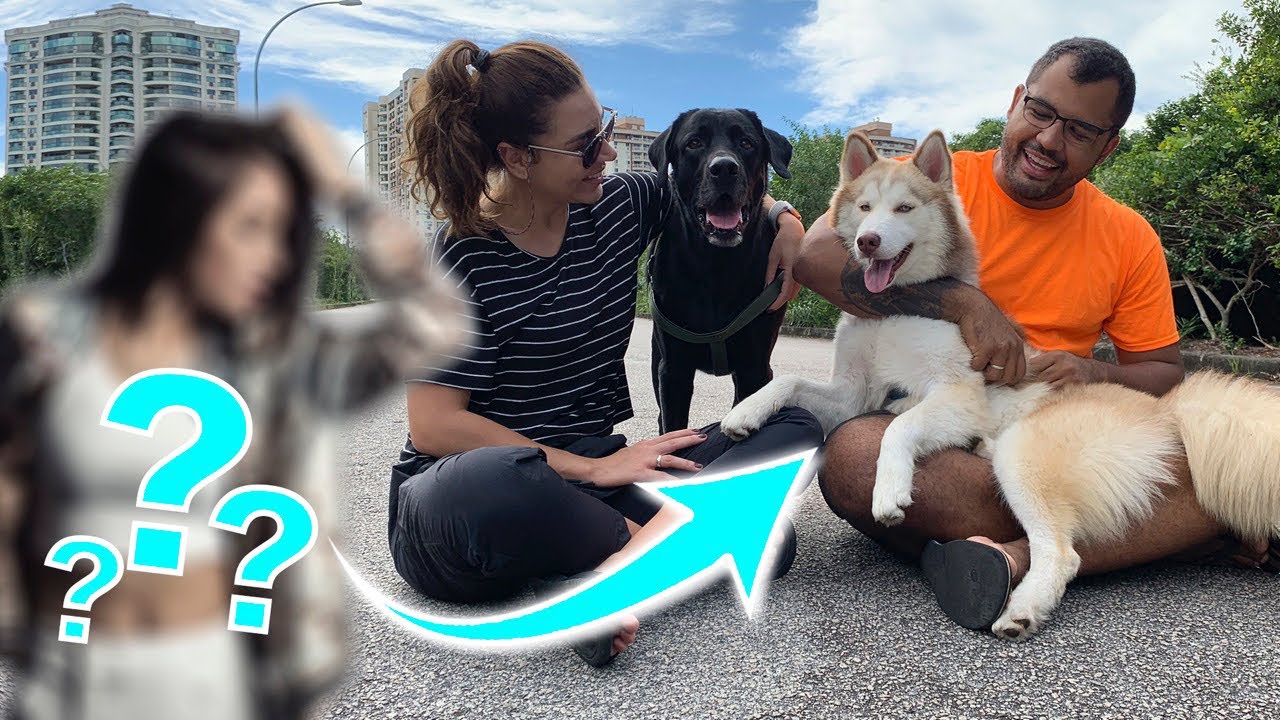 ADOTAMOS O CACHORRO DE UMA YOUTUBER FAMOSA