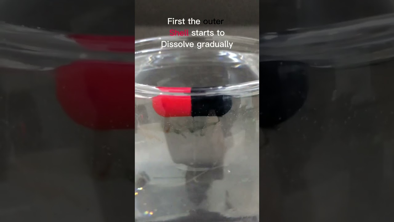 How Capsule Dissolve in Body? | Test | #shorts #vs #experiment