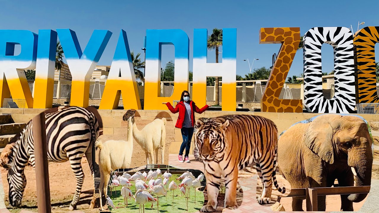 RIYADH ZOO || WILD ANIMALS || KSA #riyadhzoo #wildanimals