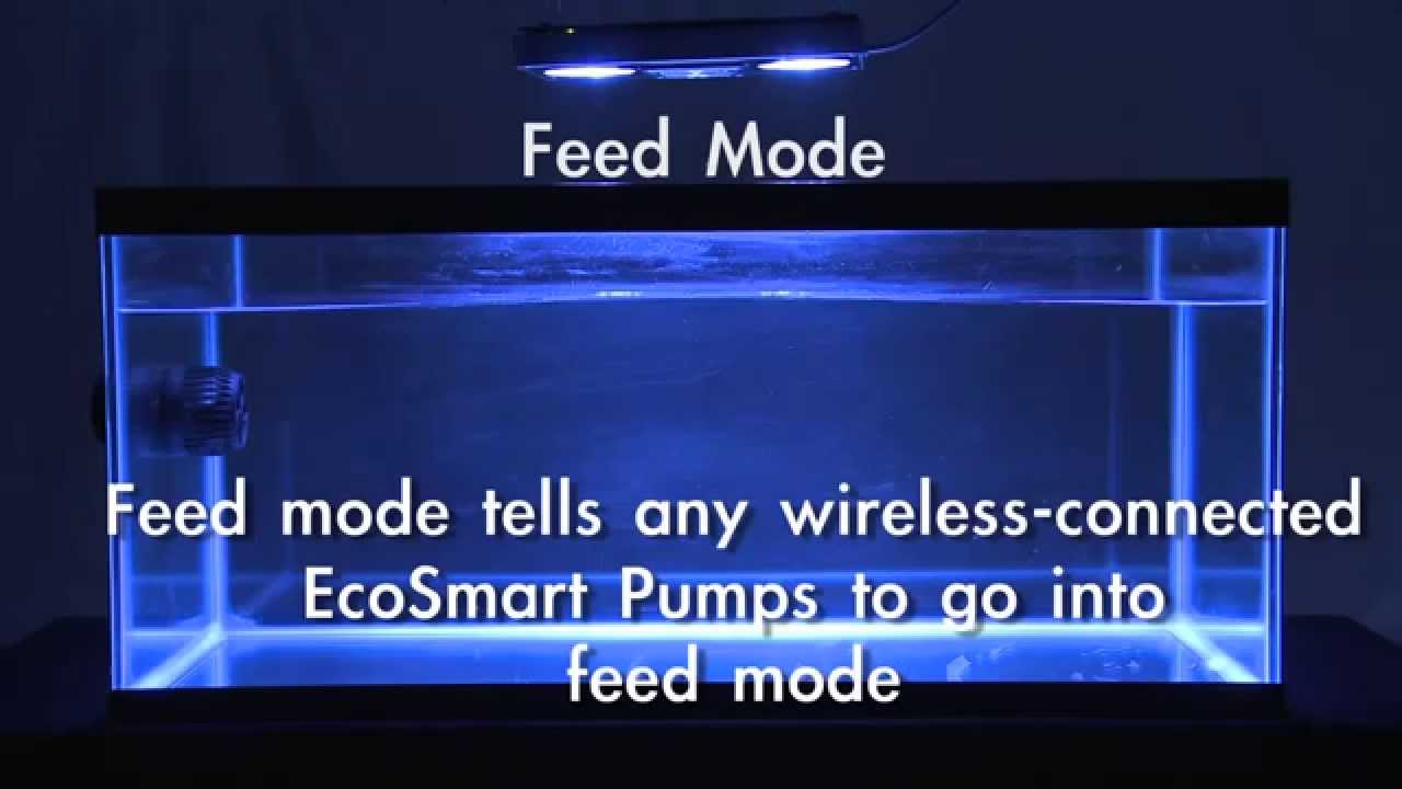 EcoTech - How to Use the Basic Mode in Radion XR30w | Big Al's