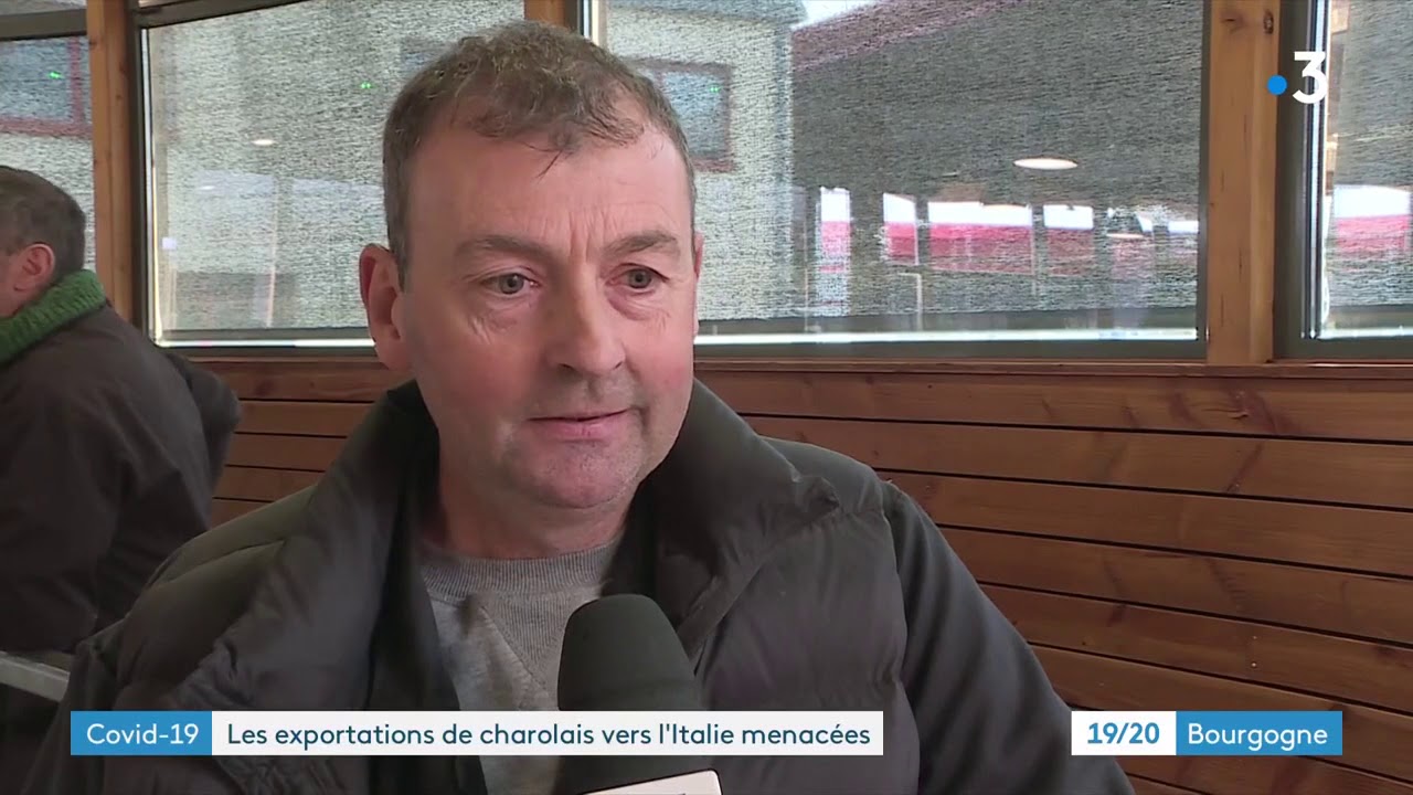 Coronavirus Covid-19 : les exportations de charolais vers l'Italie menac&eacute;es