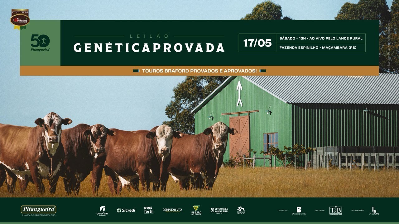 Leilão Genéticaprovada - 50 anos Pitangueira