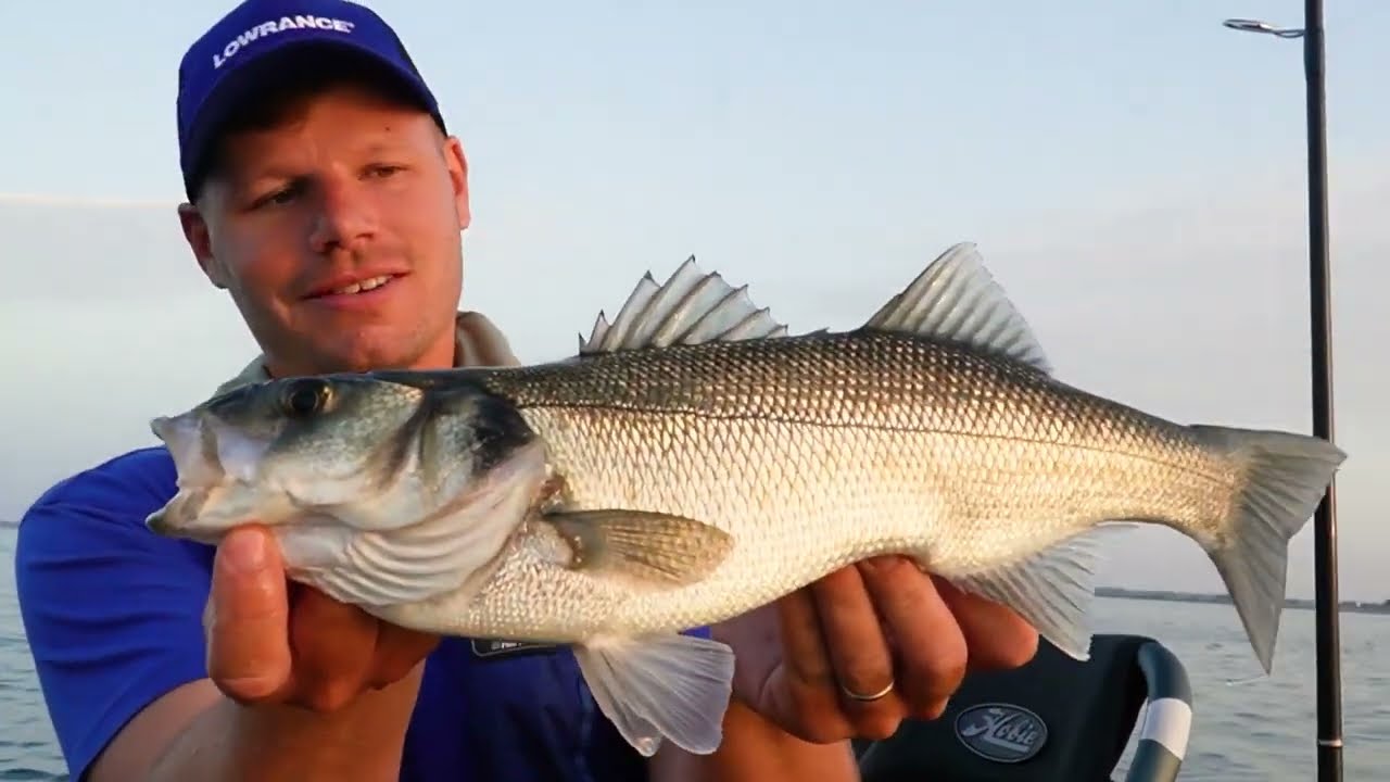 💥 Pêche des GROS BARS en KAYAK - LOWRANCE 💥