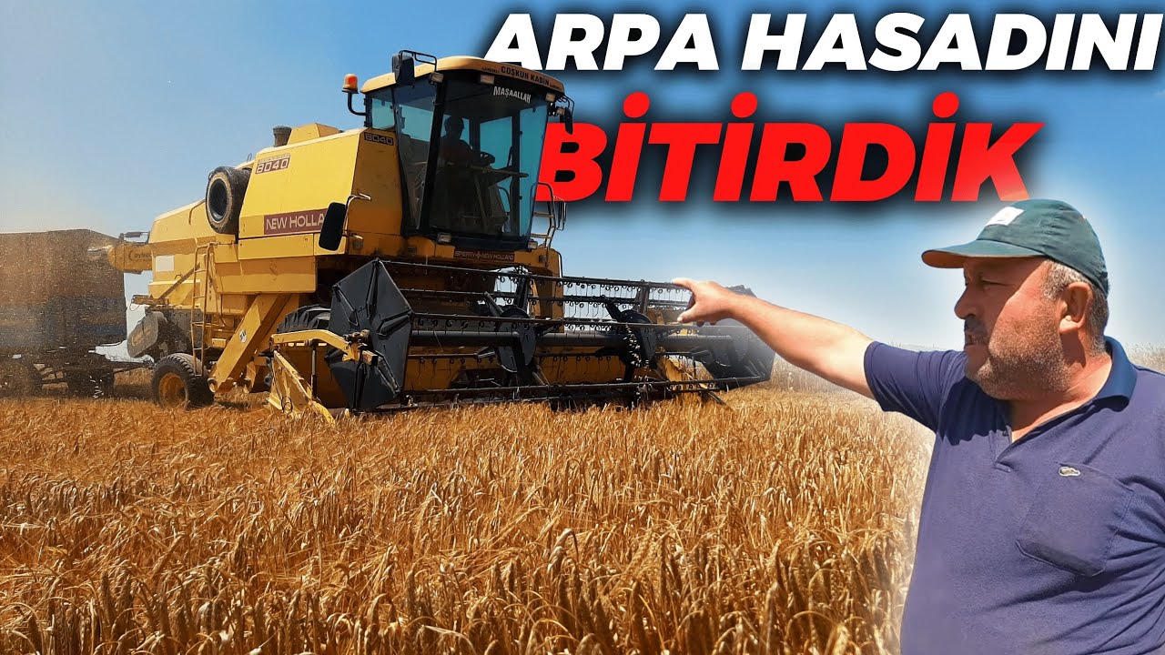 EN YÜKSEK VERİMİ ALDIĞIMIZ ARPA TARLAMIZI BİÇİYORUZ. ARPA HASATINI BİTİRDİK. [Drone] [GoPro]