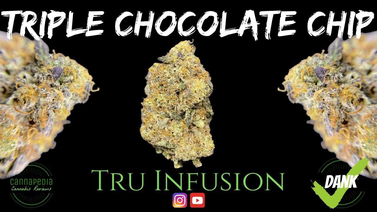 Triple Chocolate Chip Strain Review - Tru Infusion - Cannapedia