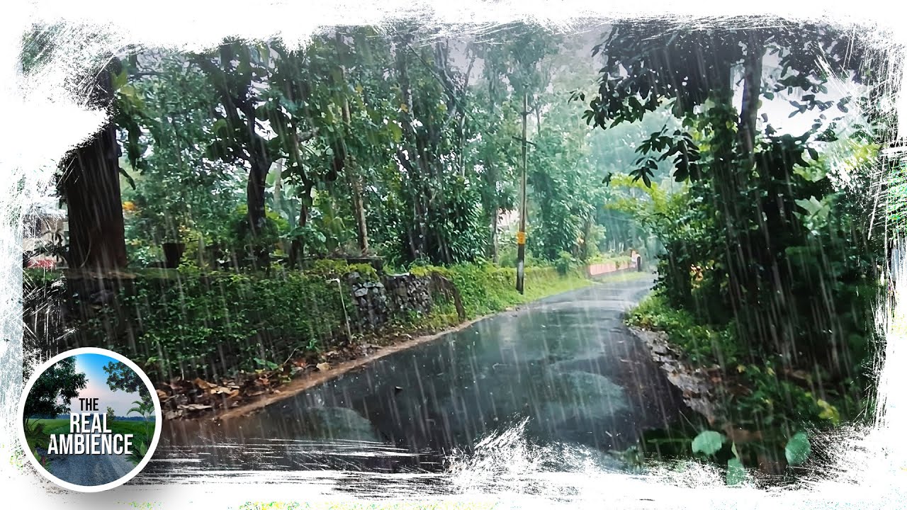Heavy rain walk |  sound of rain to sleep | asmr | village road | Kerala #relaxingvideo #rain