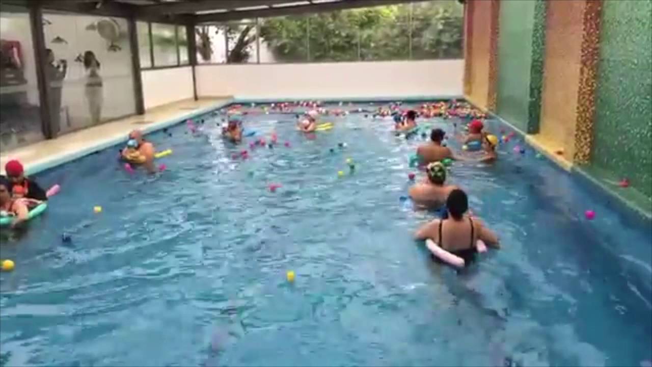Fases Estimulación Acuática