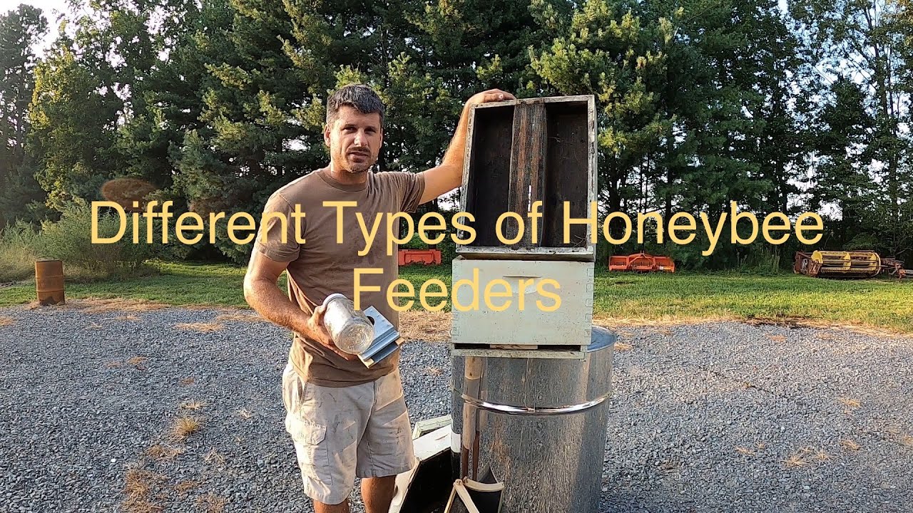 Different Types of Honeybee Feeders