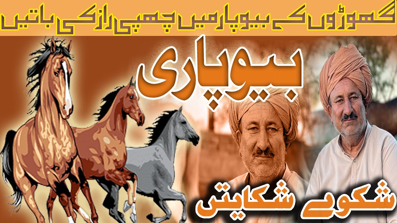 Horse Sale and Purchase Business in Pakistan || Vapaari Ka Interview