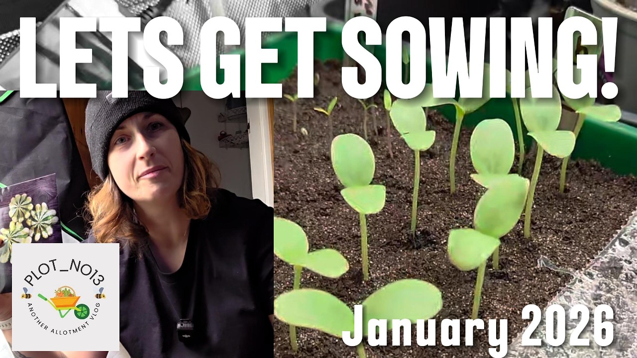 What I'm sowing in January