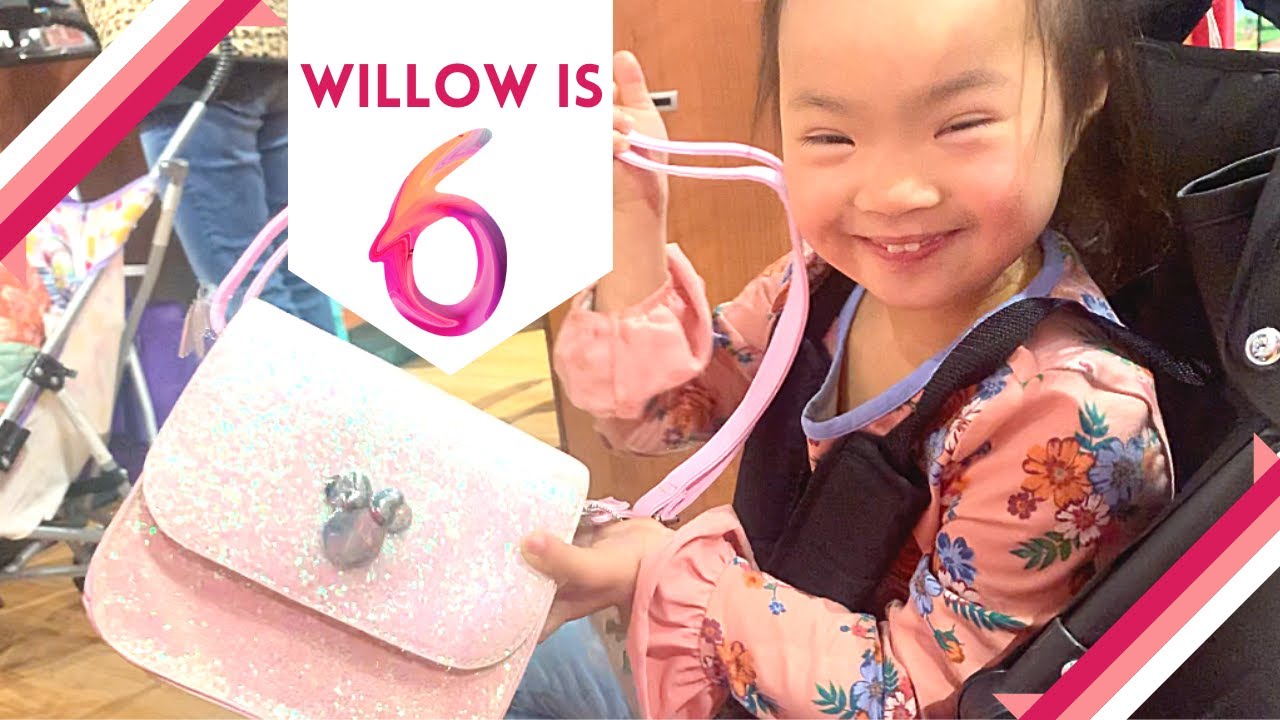 Willow's 6th Birthday - Before Everything Changed!