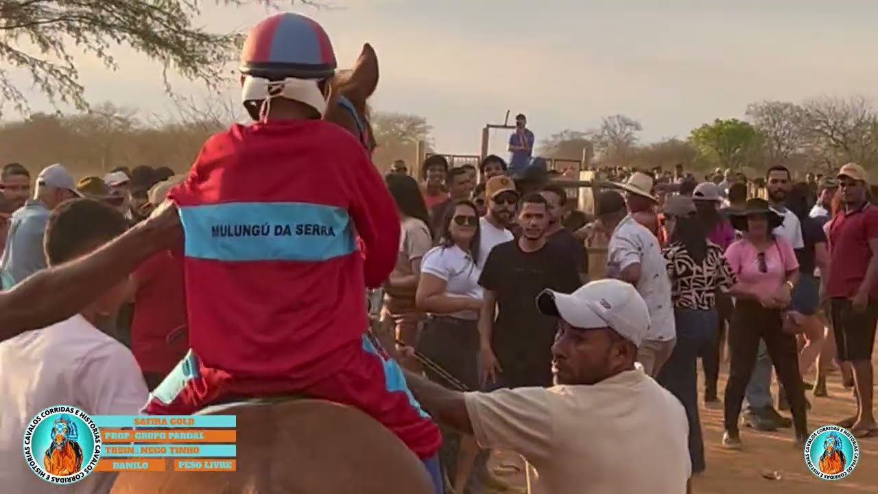 SAFIRA GOLD: CORRIDA DE CAVALOS DO HARAS CAJAZEIRAS #cavaloscorridasehistorias 