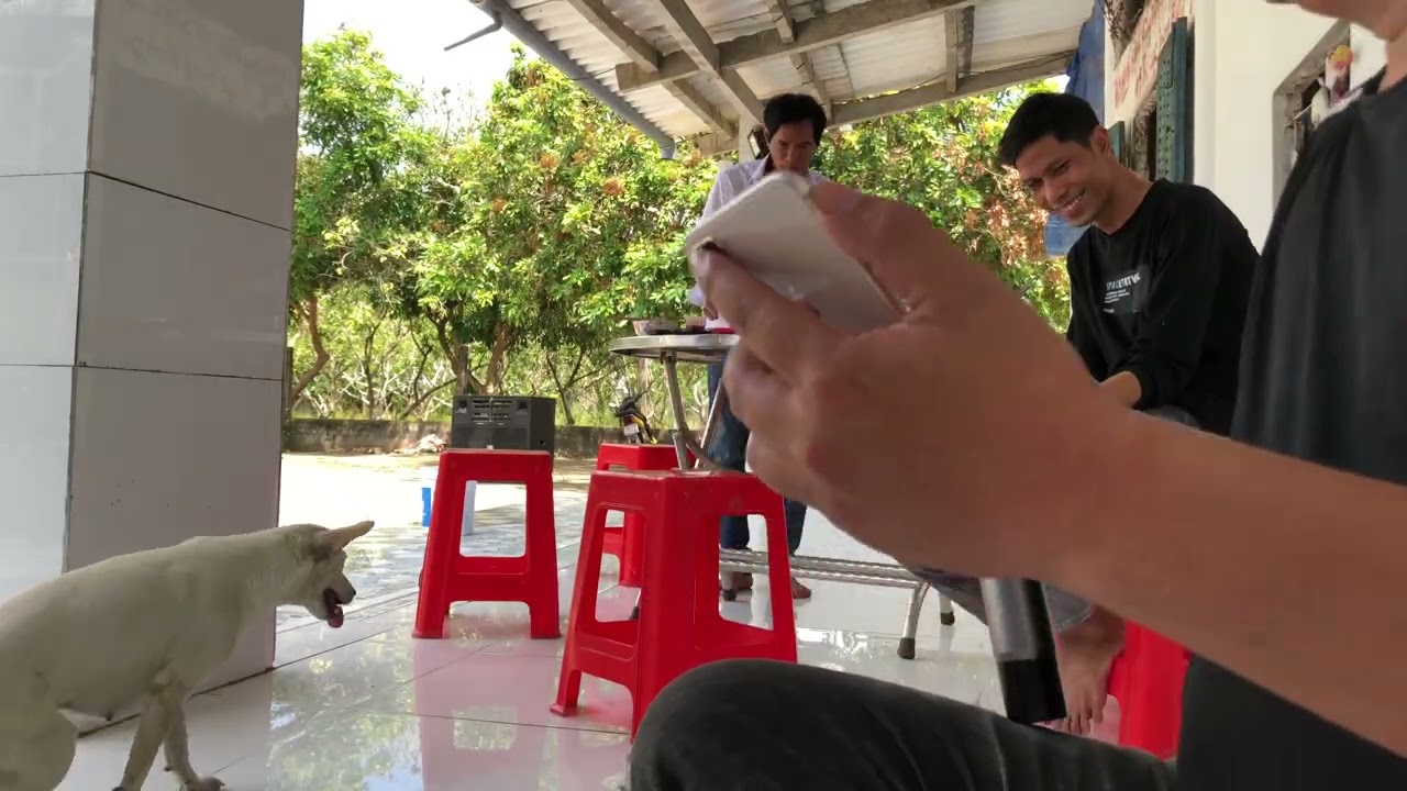 Thảo giúp vui văn nghệ cả nhà đón xem ủng hộ thảo nhé 