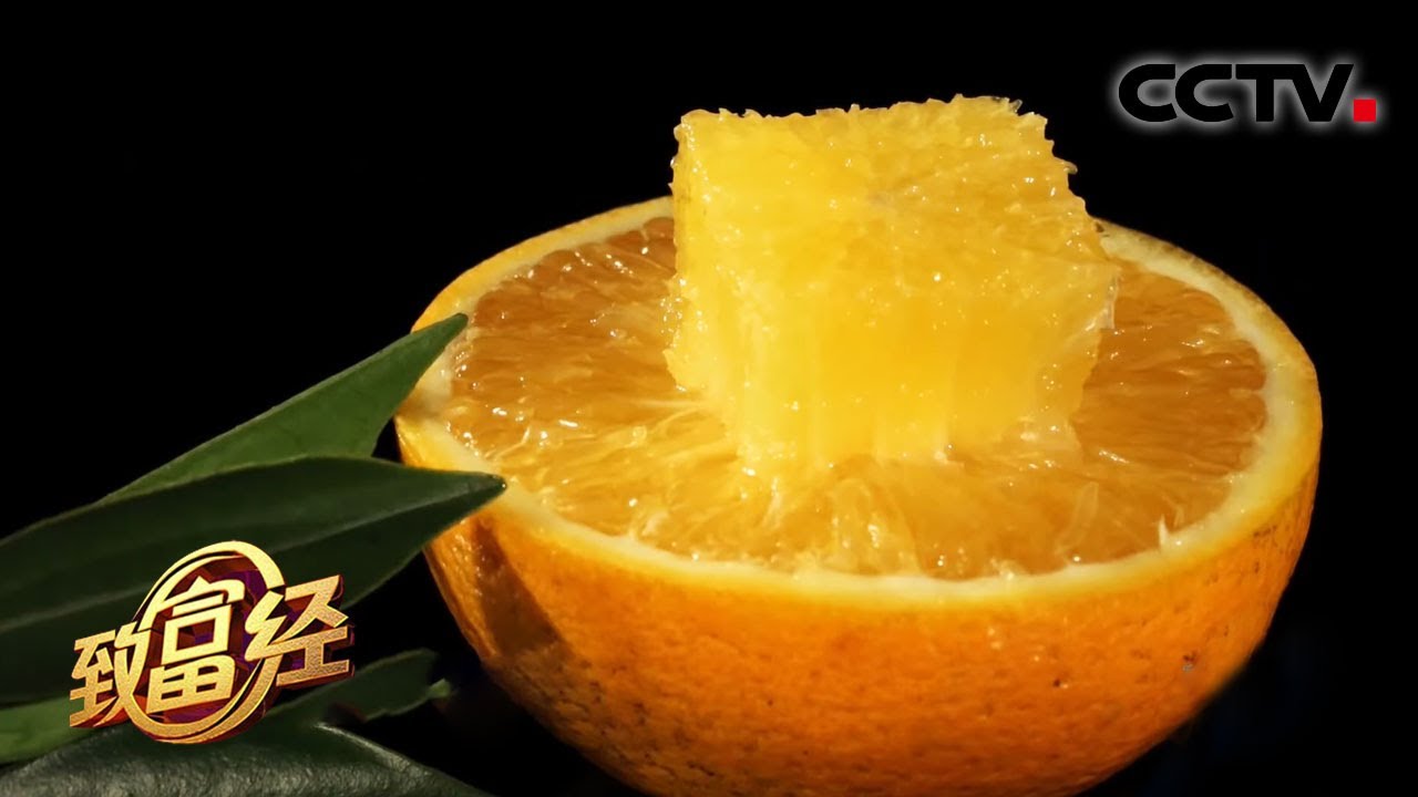 她的橙子为啥一个能卖7块钱？24岁“牙套妹”转行种植冰糖橙，仅用一招提高橙子甜度，创造年入4000万的甜蜜财富 | CCTV「致富经」20210105