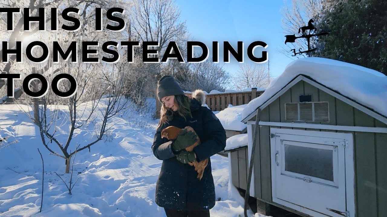 Winter Suburban Homestead Tour | Gardening in Harmony With Nature (in Canada)