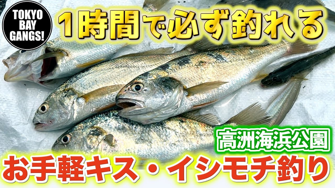 【高洲海浜公園】初心者でも1時間で必ず釣れる お手軽イシモチ・キス釣り TOKYO BAY GANGS！