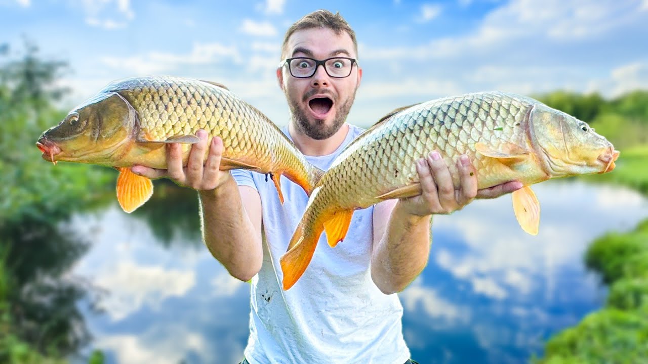 I catch HUGE CARP IN THIS LAKE (Overrun with Pike)