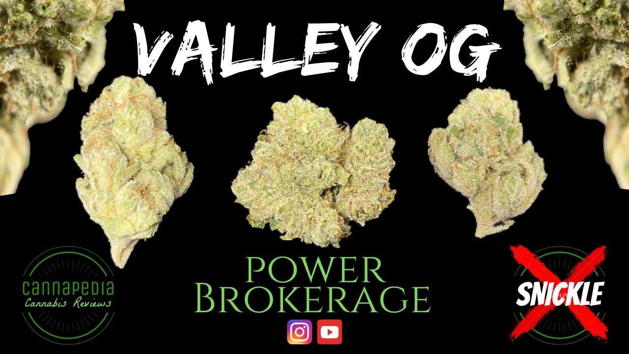 Valley OG Strain Review - Power Brokerage - Cannapedia
