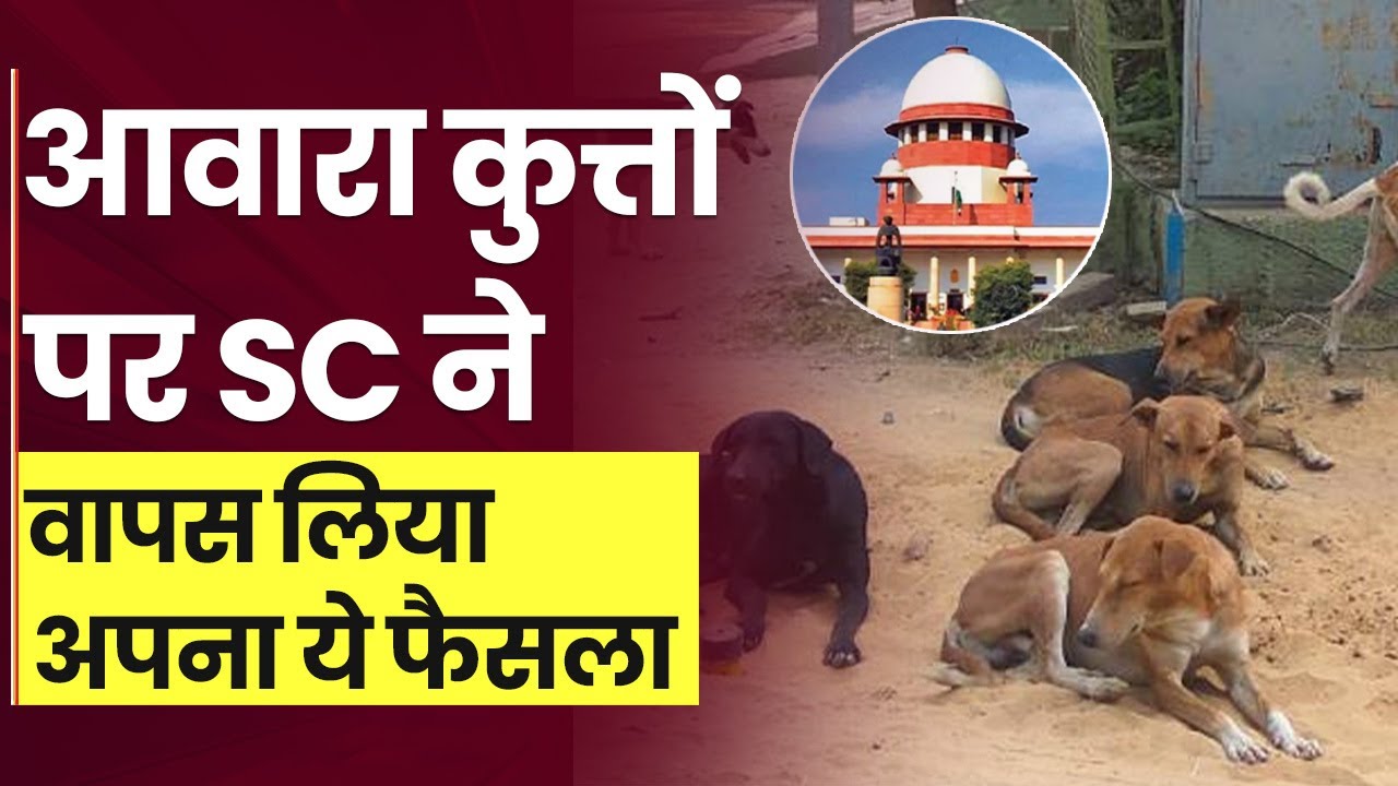 Streets Dogs को लेकर Supreme Court ने अपना आदेश वापस लिया