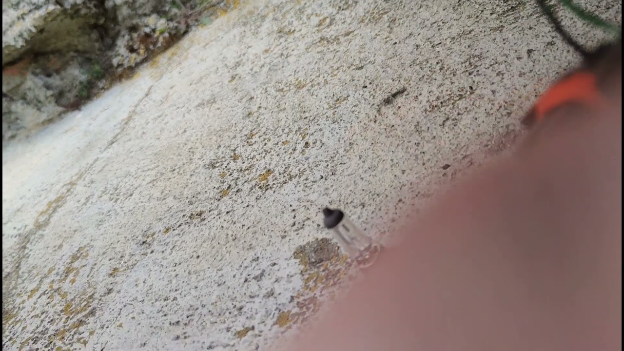 Reparamos alumbrado bombilla de antinieblas del Mondeo mk3
