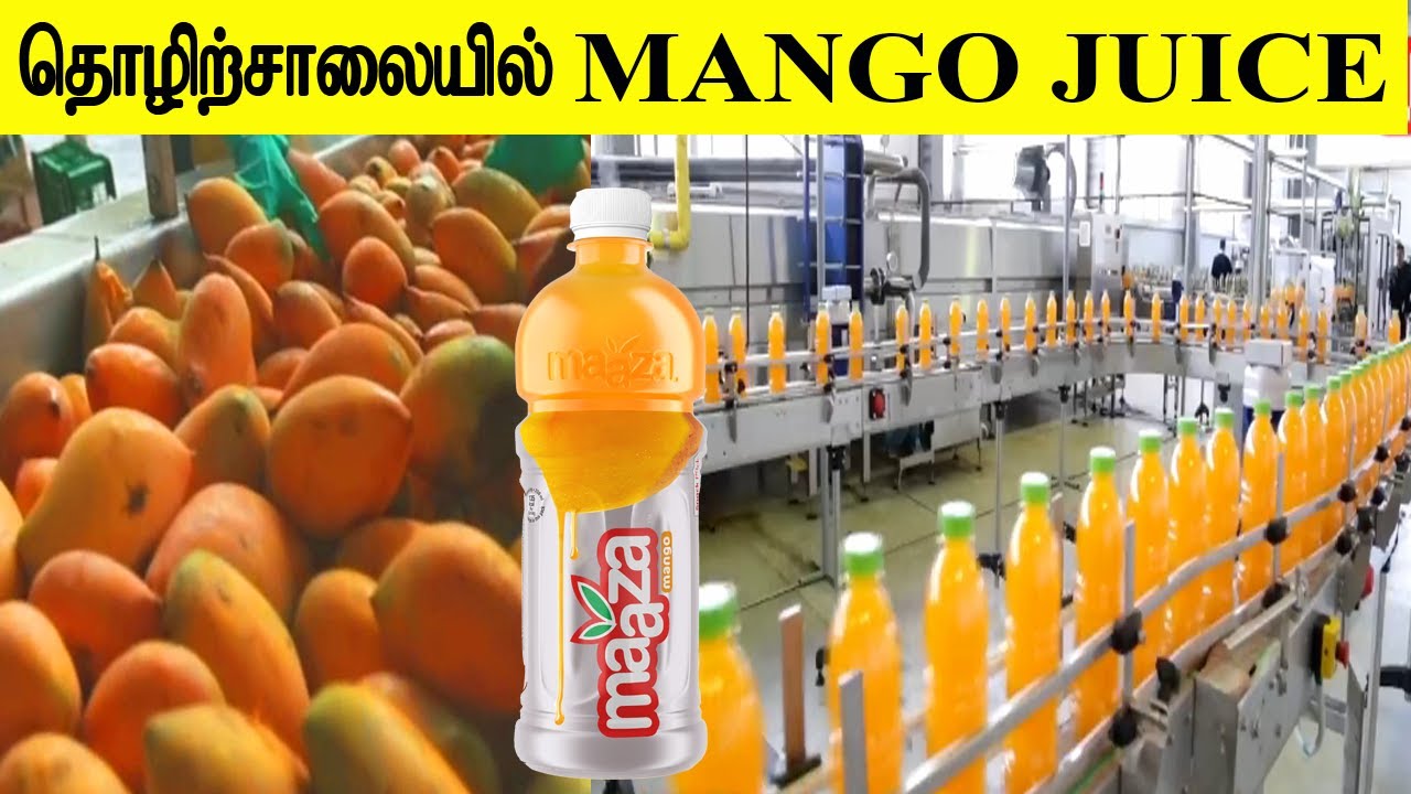 How Maaza slice frooti produced in factories | How mango juice is produced in factories