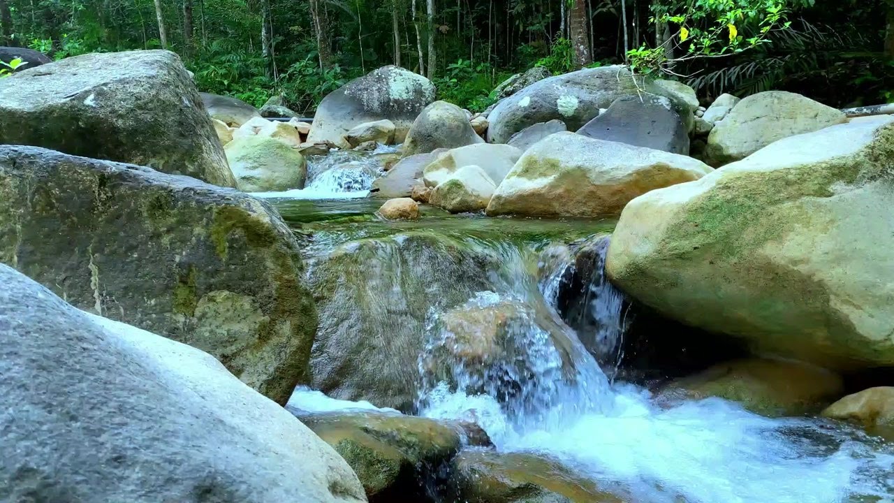 Gentle Water Ambience for Stress Relief
