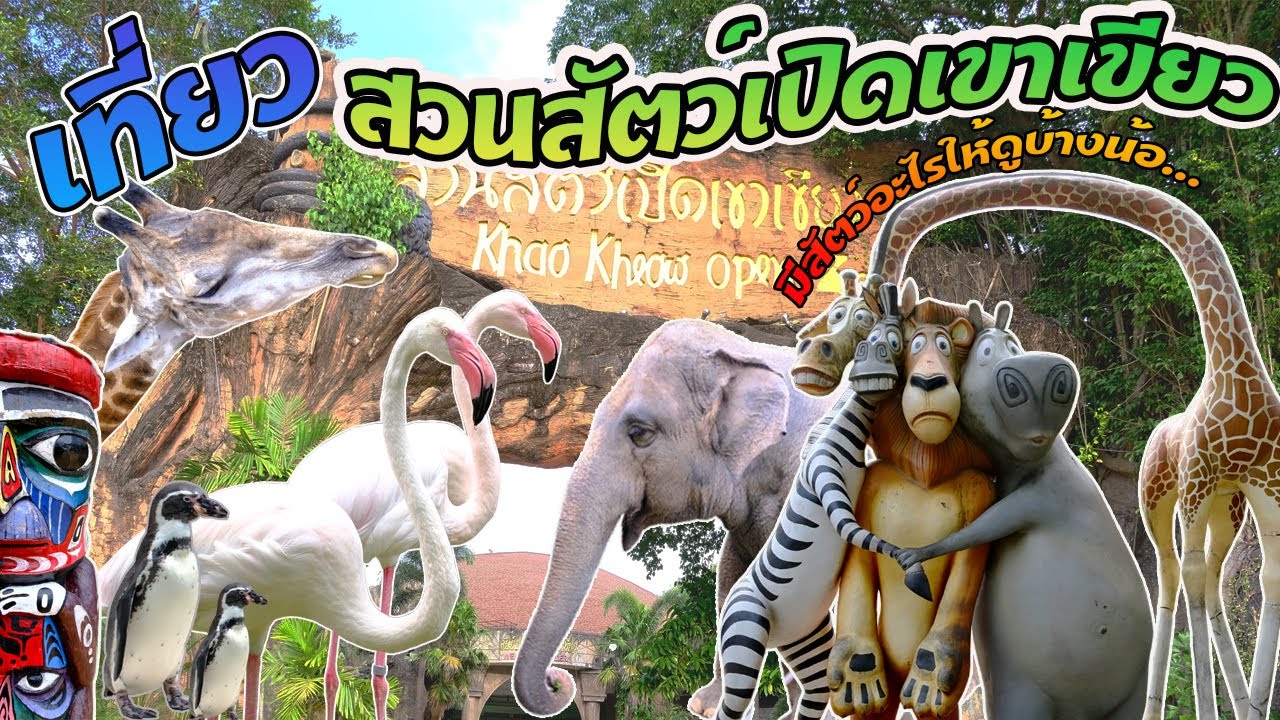พาเที่ยวสวนสัตว์เปิดเขาเขียว จ.ชลบุรี