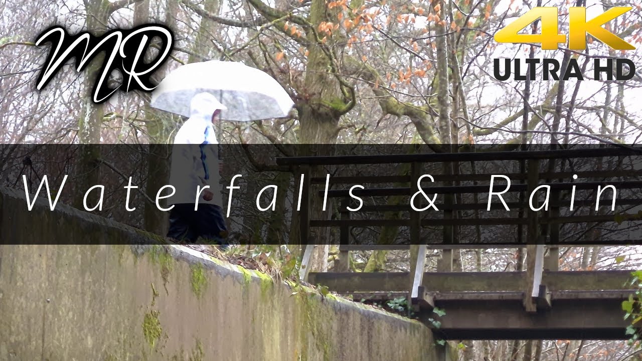 Wet, Waterfall, Lake, Relaxing Rain Walk (WITH DUCKS!!)