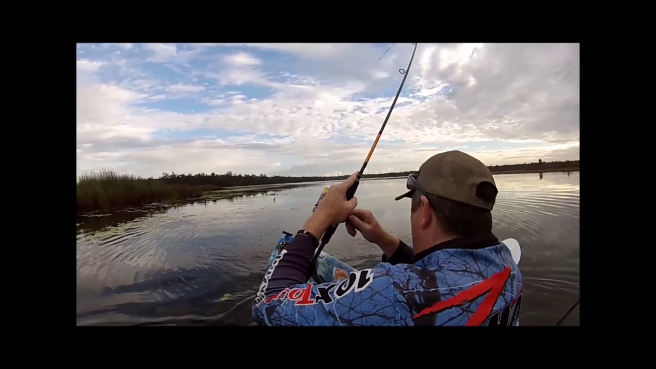 Surface Barramundi - ZMan 4