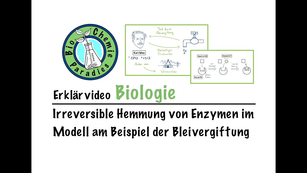 Erkl&auml;rvideo Biologie &ndash; Irreversible Hemmung von Enzymen im Modell am Beispiel der Bleivergiftung