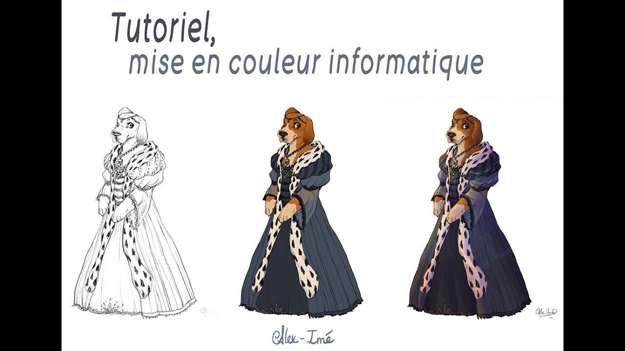 Tutoriel, mise en couleur informatique, temps réel